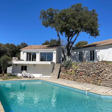Bed and Breakfast Les Terrasses Des Gardies Pignan Exteriér fotografie
